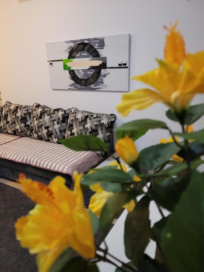 Cozy Park Residences 5 Βουκουρέστι Εξωτερικό φωτογραφία
